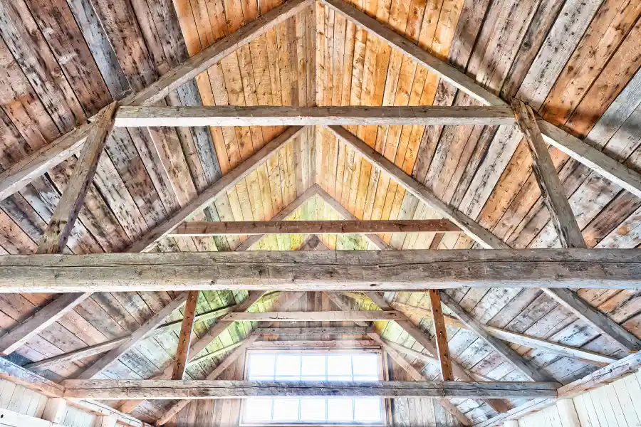 Rotten Wood Repair